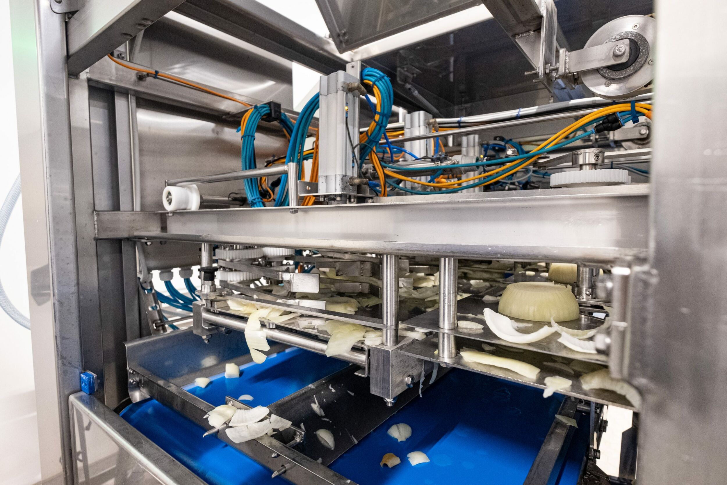 Waschen, schälen, schneiden: Viele Maschinen bei Düpmann sind Eigenentwicklungen. (Bild: Wachendorff Prozesstechnik GmbH & Co. KG / Düpmann GmbH & Co. KG)